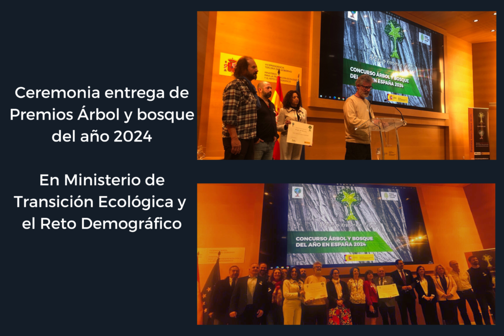 premios árbol y bosque del año en España premios árbol y bosque del año en España